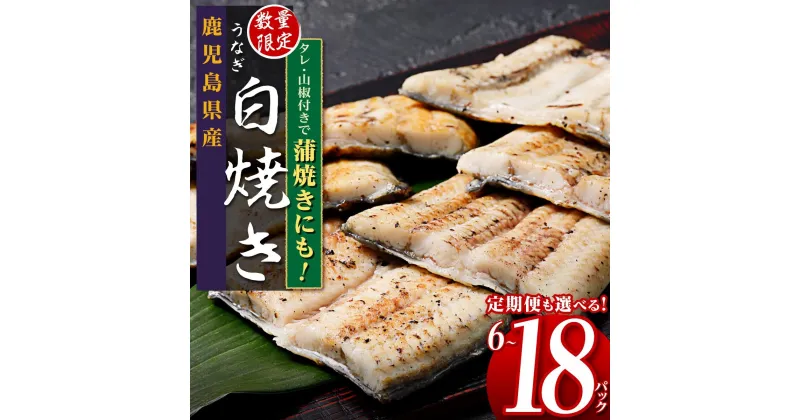 【ふるさと納税】 うなぎ カット 白焼き 選べる 内容量 定期便 300g 600g 900g | ふるさと納税 うなぎ 高級 ウナギ 鰻 国産 カット 白焼き白焼 鹿児島 大隅 大崎町 ふるさと 人気 送料無料