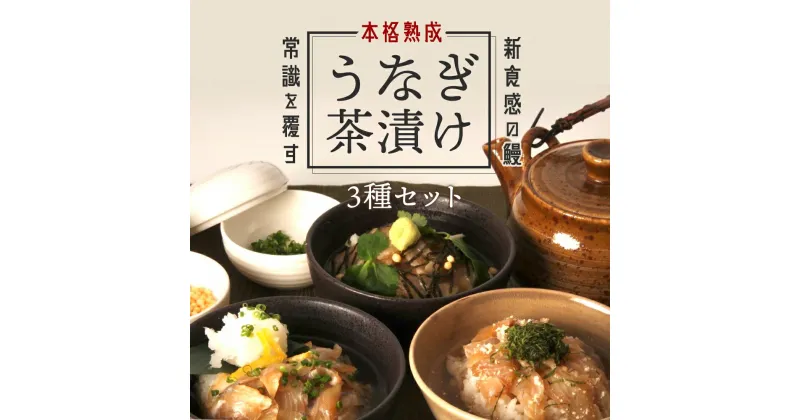 【ふるさと納税】【3食セット】本格こだわり熟成 最高級うなぎ龍鰻茶漬けセット | 鹿児島 鹿児島県 鹿児島県大崎町 鰻 うなぎ ウナギ 国産うなぎ ご飯のお供 ごはんのお供 お茶漬け お茶漬けセット セット 大崎町 鹿児島県産 大崎 国産 冷凍うなぎ