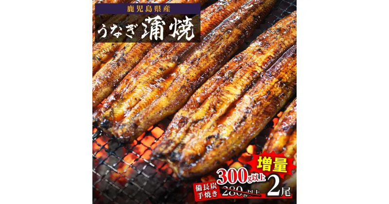 【ふるさと納税】うなぎ 高評価4.3以上 鹿児島県大隅産 備長炭手焼蒲焼 2尾 300g | ふるさと納税 うなぎ 高級 ウナギ 鰻 丑の日 国産 蒲焼 蒲焼き たれ うな丼 鰻丼 鹿児島 大隅 大崎町 ふるさと 人気 送料無料