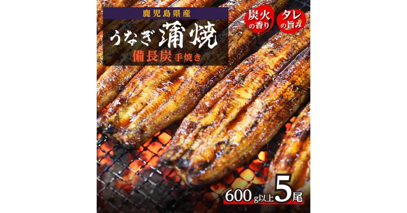 【ふるさと納税】 うなぎ 長蒲焼 5尾 600g 〜 備長炭 手焼き | ふるさと納税 うなぎ 高級 ウナギ 鰻 丑の日 国産 蒲焼 蒲焼き たれ うな丼 鰻丼 鹿児島 大隅 大崎町 ふるさと 人気 送料無料