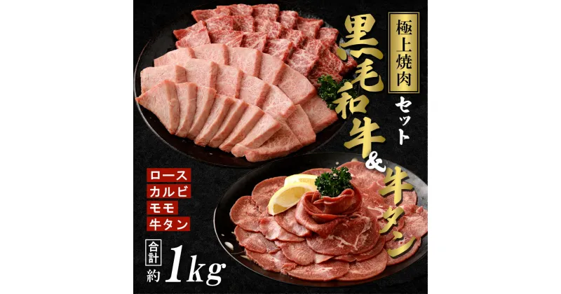 【ふるさと納税】極上 A5 焼肉 セット 黒毛 和牛 霜降 赤身 ＆ 牛タン 計1kg | ふるさと納税 牛肉 高級 黒毛和牛 和牛 牛 詰め合わせ モモ肉 ロース カルビ 焼肉 焼き肉 タン A5ランク 極上 霜降り A5等級 鹿児島 大崎町 ふるさと 人気