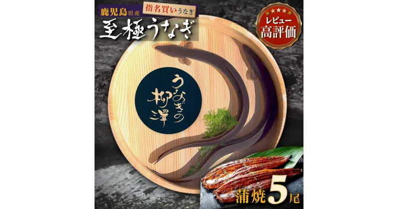 【ふるさと納税】うなぎ うなぎの柳澤 蒲焼 5尾 850g 《 2週間以内発送予定 》 | ふるさと納税 うなぎ 高級 ウナギ 鰻 丑の日 国産 蒲焼 蒲焼き たれ うな丼 鰻丼 鹿児島 大隅 大崎町 ふるさと 人気 送料無料