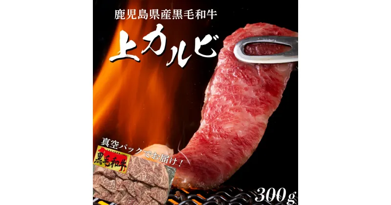 【ふるさと納税】牧草で育った 黒毛和牛 上カルビ 焼肉 数量限定 | セット カルビ 焼き肉 和牛 黒毛和牛 焼肉セット 牛肉 鹿児島県大崎町 九州 肉 お肉 牛 お取り寄せ 精肉 ご当地 グルメ 焼き肉セット 国産牛肉 国産和牛