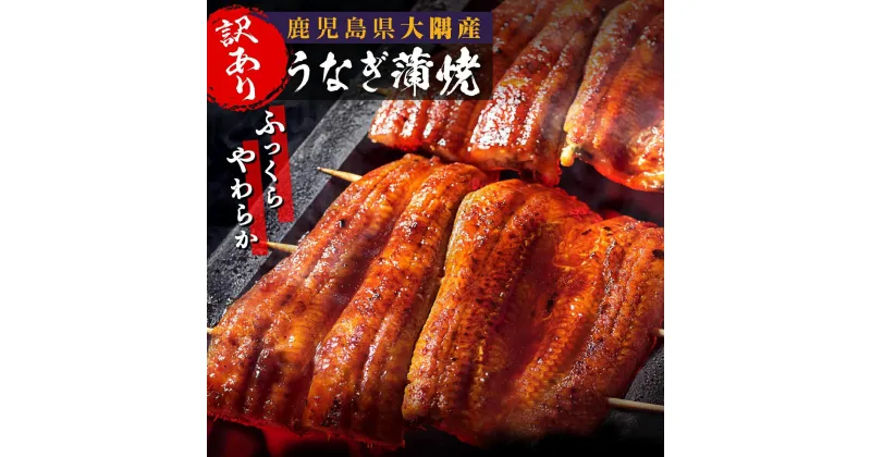 【ふるさと納税】【訳あり】うなぎ 蒲焼 鰻 関東風蒸し焼き 小サイズ5尾 | ふるさと納税 うなぎ 高級 ウナギ 鰻 丑の日 国産 蒲焼 蒲焼き たれ 関東風 蒸し入り 鹿児島 大隅 大崎町 ふるさと 人気 送料無料