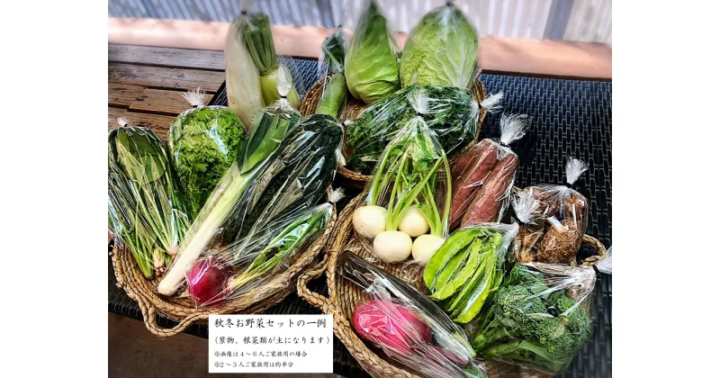 【ふるさと納税】西洋野菜と季節の鹿児島野菜セット（4～6人ご家族用） | 鹿児島県 大崎町 九州産 鹿児島県産 野菜 やさい ベジタブル ベジタリアン 国産 大根 キュウリ トマト じゃがいも ネギ 特産品 名産品 ご当地 ご当地グルメ 野菜セット 詰め合わせ お取り寄せ 鹿児島