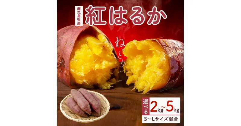 【ふるさと納税】【 先行受付 】紅蜜芋　紅はるか | ふるさと納税 さつまいも2kg 5kg 鹿児島 大崎町 さつまいも サツマイモ 熟成 芋 お芋 やさい ご家庭用