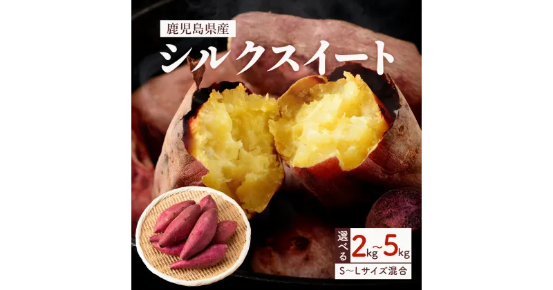 【ふるさと納税】【 先行受付 】しっとり食感！ シルクスイート | ふるさと納税 さつまいも2kg 5kg 鹿児島 大崎町 さつまいも サツマイモ 熟成 芋 お芋 やさい ご家庭用