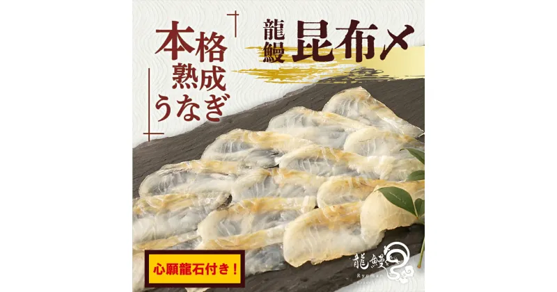 【ふるさと納税】うなぎの概念が変わる!! 《鹿児島県漁連水産団体長賞受賞》 本格熟成うなぎ【 龍鰻昆布〆 / 心願龍石 セット】| 熟成うなぎ 昆布〆 鰻 うなぎ ウナギ 国産うなぎ 鹿児島 鹿児島県 鹿児島県大崎町 大崎町 鹿児島県産 大崎 国産 冷凍うなぎ