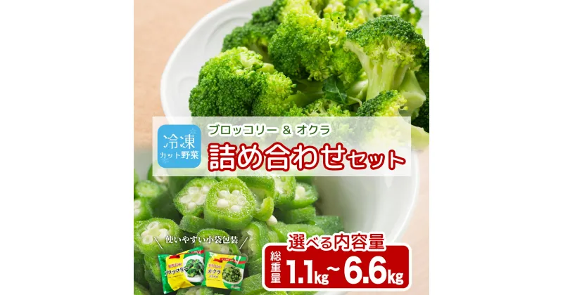 【ふるさと納税】国産 冷凍 ブロッコリー ＆ オクラ セット | 冷凍野菜 カット野菜 冷凍ブロッコリー 冷凍オクラ ぶろっこりー おくら 詰め合わせ 鹿児島県産 おすすめ