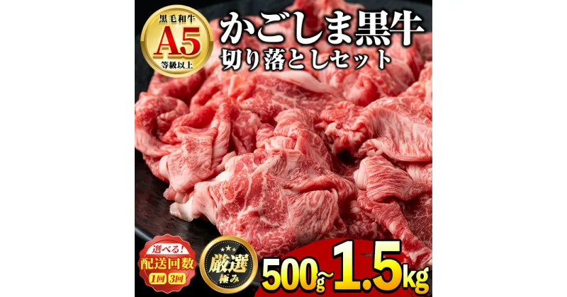 【ふるさと納税】鹿児島県産黒毛和牛！A5等級の切り落とし＜約500g/定期便・約500g×3回＞ 牛肉 肉 切落し 切り落し 和牛 冷凍 国産 お肉 牛丼 野菜炒め カレー 冷凍【前田畜産たかしや】