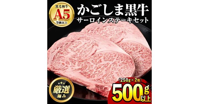 【ふるさと納税】鹿児島県産黒毛和牛！A5等級サーロインステーキ(計500g・約250g×2枚) 国産 牛肉 肉 冷凍 サーロイン 鹿児島 ステーキ 焼肉 BBQ バーベキュー【前田畜産たかしや】【30963】