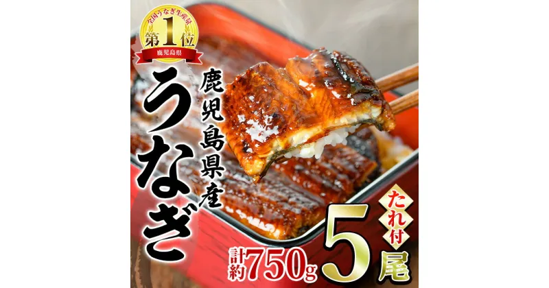 【ふるさと納税】東串良町のうなぎ蒲焼(無頭)(5尾・計約750g・タレ、山椒付) うなぎ 高級 ウナギ 鰻 国産 蒲焼 蒲焼き たれ 鹿児島 ふるさと 人気【アクアおおすみ】【0294315a】