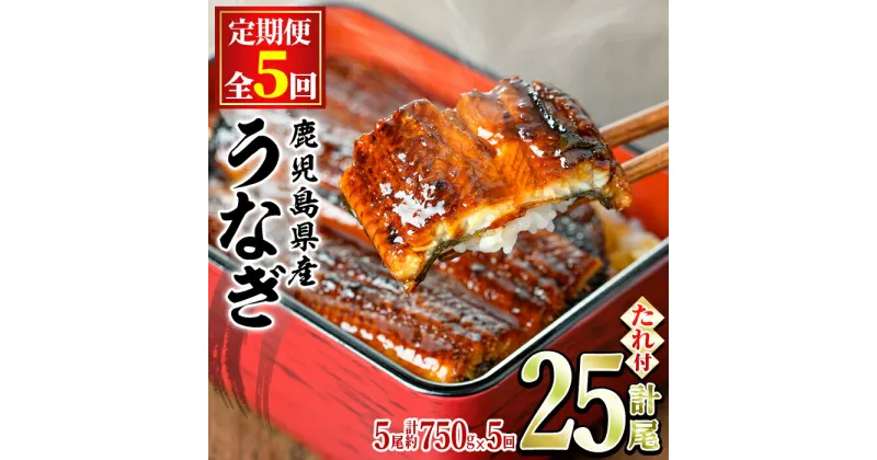 【ふるさと納税】＜定期便・全5回＞東串良町のうなぎ蒲焼(無頭)(5尾・計約750g・タレ、山椒付×5回) うなぎ 高級 ウナギ 鰻 国産 蒲焼 蒲焼き たれ 鹿児島 ふるさと 人気【アクアおおすみ】【150041】