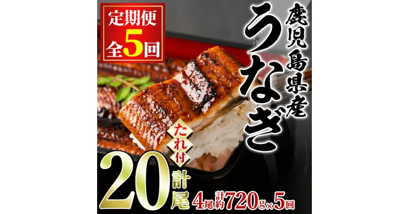 【ふるさと納税】＜定期便・全5回＞東串良町のうなぎ蒲焼(無頭)(4尾・計約720g・タレ、山椒付×5回) うなぎ 高級 ウナギ 鰻 国産 蒲焼 蒲焼き たれ 鹿児島 ふるさと 人気【アクアおおすみ】【134043】