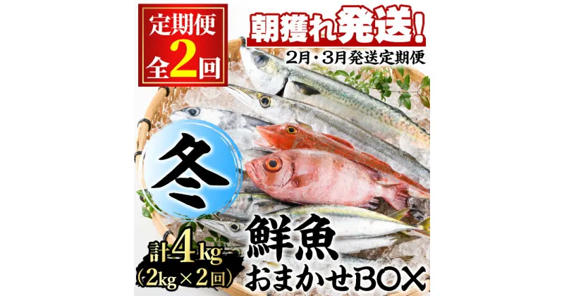 【ふるさと納税】＜定期便・全2回(2月・3月)＞「冬の鮮魚BOX」朝獲れ発送！鮮魚問屋が厳選したおまかせ鮮魚(約2kg程度×2回) 魚 魚介類 鮮魚 海鮮 詰め合わせ セット 刺身 天ぷら 煮つけ 塩焼き【江川商店】【0301103b】