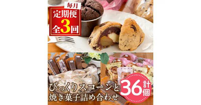 【ふるさと納税】＜定期便・全3回(連続)＞焼き菓子詰め合わせ(ガトーショコラ、スコーン、ブラウニー、マドレーヌ、フィナンシェ) お菓子 スイーツ 洋菓子 焼き菓子 個包装 小分け おやつ かわいい【Felice Regalo】【31887】