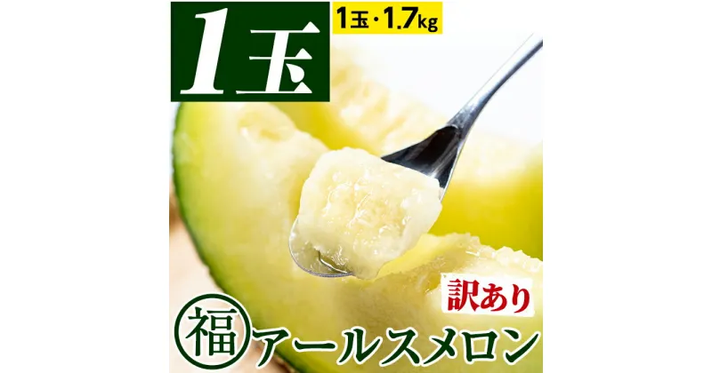 【ふるさと納税】＜訳あり＞マル福の高級アールスメロン(1玉・1.7kg) メロン フルーツ 果物 果実 1キロ 数量限定 期間限定【マル福園芸組合】【0111109a】