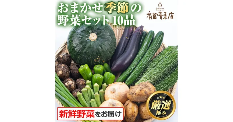 【ふるさと納税】自慢の農家×老舗青果店の新鮮でおいしい野菜・おまかせ便(10品) 野菜 セット 詰め合わせ 詰合せ 旬 お野菜【有留青果】【0123608a】