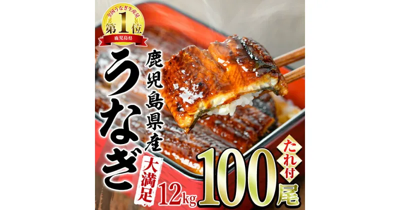 【ふるさと納税】＜大満足＞東串良町のうなぎ蒲焼(無頭)(120g×100尾・計約12000g・タレ、山椒付) うなぎ 高級 ウナギ 鰻 国産 蒲焼 蒲焼き たれ 鹿児島 ふるさと 人気【アクアおおすみ】【4504306a】