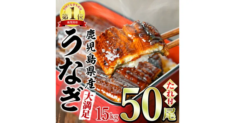 【ふるさと納税】＜大満足＞東串良町のうなぎ蒲焼(無頭)(300g×50尾・計約15000g・タレ、山椒付) うなぎ 高級 ウナギ 鰻 国産 蒲焼 蒲焼き たれ 鹿児島 ふるさと 人気【アクアおおすみ】【5004307a】