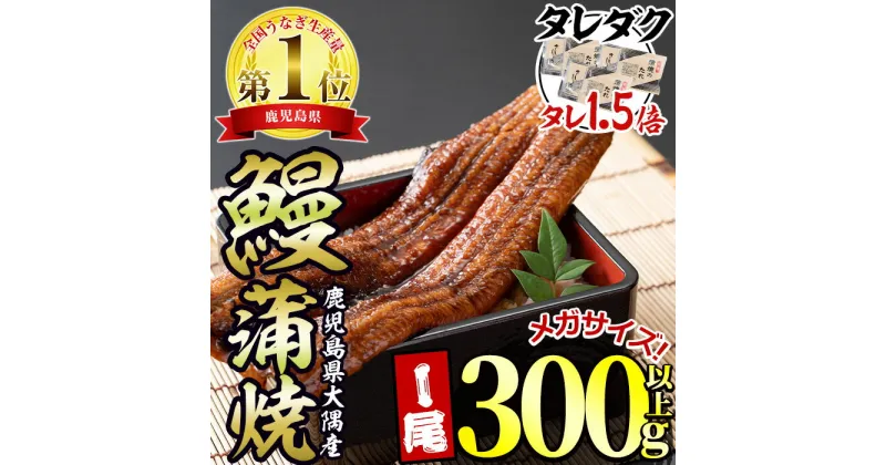 【ふるさと納税】東串良町のうなぎ蒲焼(無頭)＜メガサイズ＞(1尾・300g以上・タレ、山椒×3個※通常の1.5倍付) うなぎ 高級 ウナギ 鰻 国産 蒲焼 蒲焼き たれ 鹿児島 ふるさと【アクアおおすみ】【0104312a】