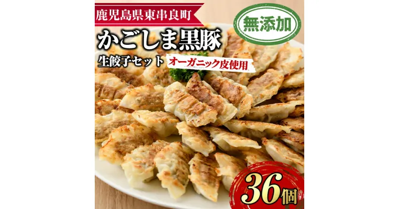 【ふるさと納税】オーガニック皮使用！鹿児島黒豚生餃子セット(12個入×3パック・計36個) 黒豚 豚肉 ぶた肉 餃子 ギョウザ ぎょうざ 惣菜【鹿児島ますや】【0125107a】