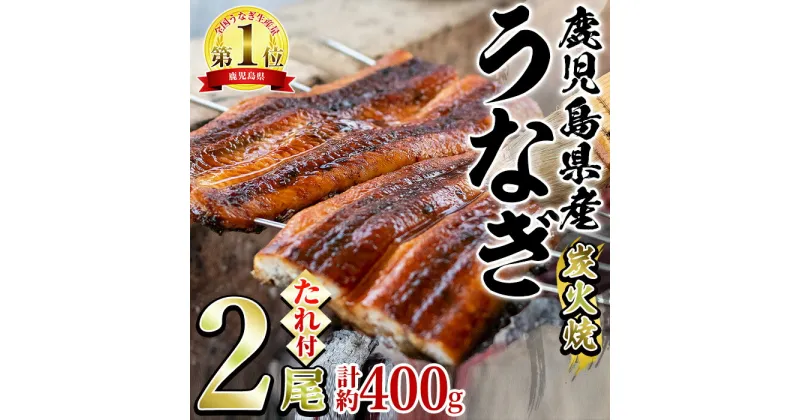 【ふるさと納税】東串良町のうなぎ炭火蒲焼(無頭)(2尾・計約400g・タレ、山椒付) うなぎ 高級 ウナギ 鰻 国産 蒲焼 蒲焼き たれ 鹿児島 ふるさと 人気【アクアおおすみ】【0224308a】