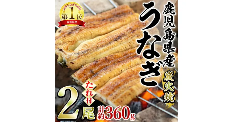 【ふるさと納税】東串良町のうなぎ炭火白焼(無頭)(2尾・計約360g・タレ、山椒付) うなぎ 高級 ウナギ 鰻 国産 白焼き 鹿児島 ふるさと 人気【アクアおおすみ】【0224309a】