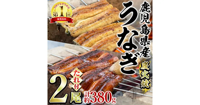 【ふるさと納税】東串良町のうなぎ炭火蒲焼、白焼(無頭)(2尾・計約380g・タレ、山椒付) うなぎ 高級 ウナギ 鰻 国産 白焼き 鹿児島 ふるさと 人気【アクアおおすみ】【0224310a】