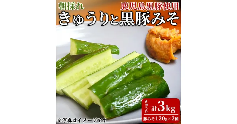 【ふるさと納税】＜数量限定＞朝採れ！新鮮！きゅうり(3kg) と物産館おススメ黒豚みそ(計240g・120g×2種) セット キュウリ 採れたて 野菜 鹿児島黒豚 【東串良物産館ルピノンの里】【0105905a】