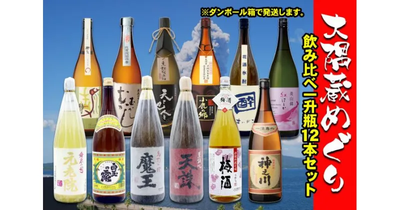 【ふるさと納税】No.10004-1 大隅蔵めぐり　飲み比べ一升瓶10本セット