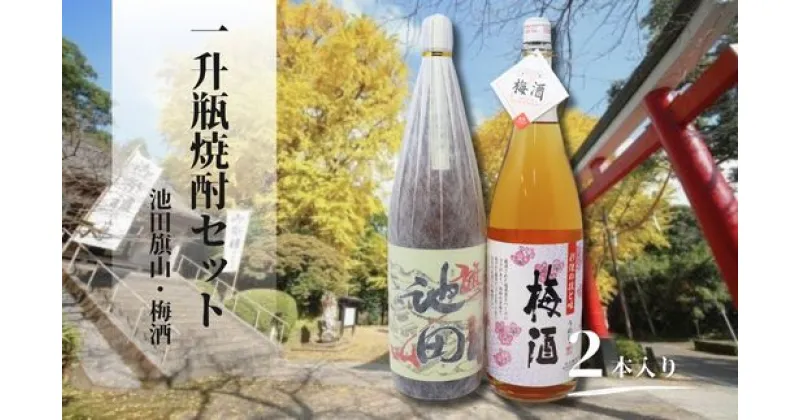 【ふるさと納税】No.1425　池田旗山・梅酒（一升瓶） 2本セット