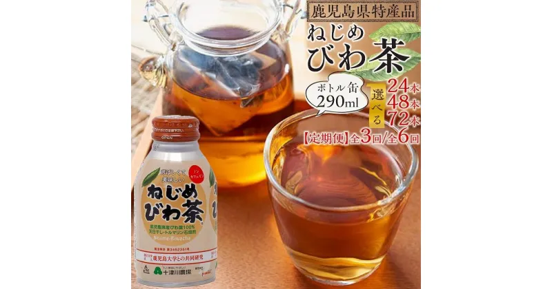 【ふるさと納税】『ねじめびわ茶』ボトル缶（ 290ml × 24 本入り ）【 1 ～ 3 ケース 定期便 】 | びわ茶 お茶 ノンカフェイン 無香料 無着色 ポリフェノール 特許製法 鹿児島県産