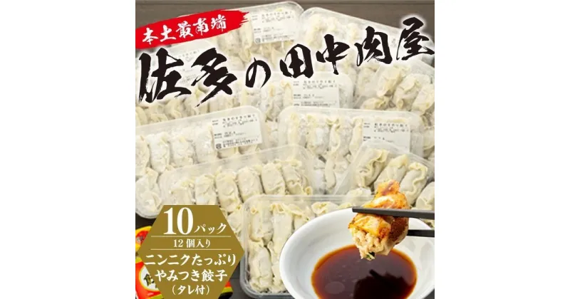 【ふるさと納税】餃子 大容量 120個 ( 12個入り × 10パック ) | 手作り餃子 ぎょうざ ぎょーざ 鹿児島 惣菜 食品 冷凍 国産 肉 豚肉 タレ付き お取り寄せ グルメ 人気 おすすめ 手作り 「田中精肉店のニンニクたっぷりやみつき餃子」