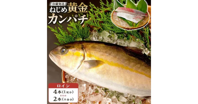 【ふるさと納税】カンパチ ロイン 【 4本 （1尾分）・2本 （片身分） 】 1本 約400g 配送日指定可能 | ねじめ黄金カンパチ 勘八 魚 さかな 魚介 魚介類 海鮮 養殖 冷蔵 真空パック 三枚おろし 産地直送 刺身 刺し身 カルパッチョ 特産品 鹿児島県 南大隅町