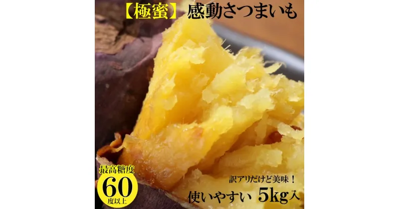 【ふるさと納税】【年内出荷】 訳あり 熟成 紅はるか 5kg (1箱 ) さつまいも 鹿児島県産 | 野菜 やさい 食品 人気 おすすめ 送料無料 感動さつまいも