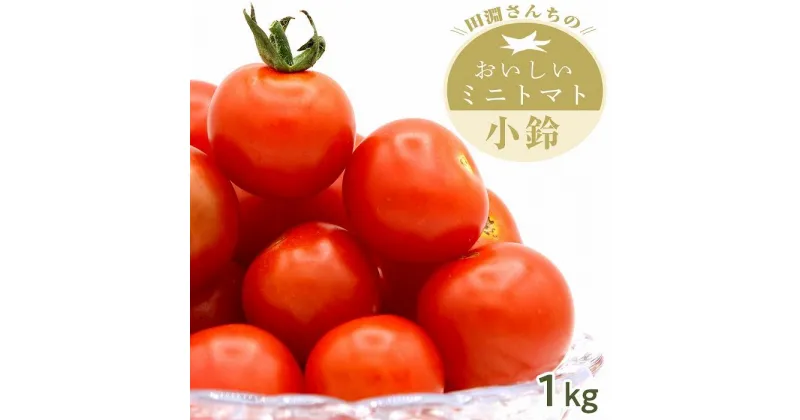 【ふるさと納税】ミニトマト 小鈴 南大隅町産 1kg ( 1箱 ) | 産地直送 トマト ミニトマト 1キロ 1箱 サラダ 野菜 やさい ベジタブル 新鮮 人気 おすすめ 美味しい 送料無料 ふるさと納税