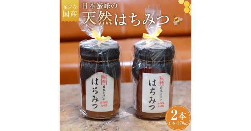 【ふるさと納税】希少な国産！日本蜜蜂の天然はちみつ | ハニー 蜂蜜 食品 人気 おすすめ 送料無料