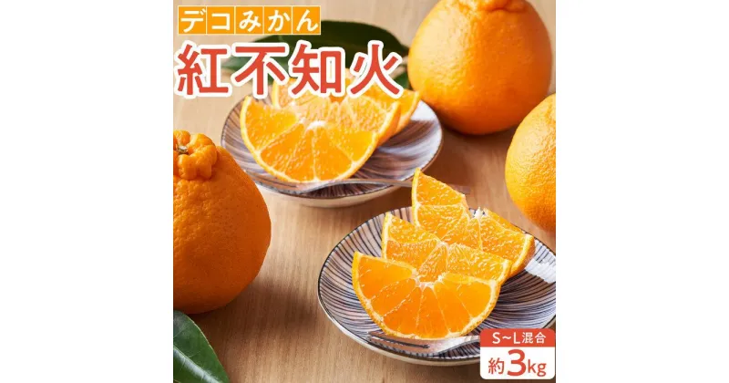 【ふるさと納税】【先行予約】デコみかん 紅不知火（約3kg） | フルーツ 果物 くだもの 食品 人気 おすすめ 送料無料