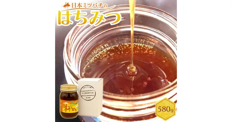 【ふるさと納税】日本ミツバチのはちみつ　580g | ハニー 蜂蜜 食品 人気 おすすめ 送料無料