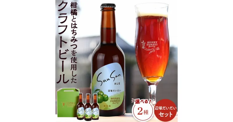 【ふるさと納税】SunSunALE　辺塚だいだい 【 3 本セット ・ 6 本セット 】 | お酒 さけ 人気 おすすめ 送料無料 ギフト