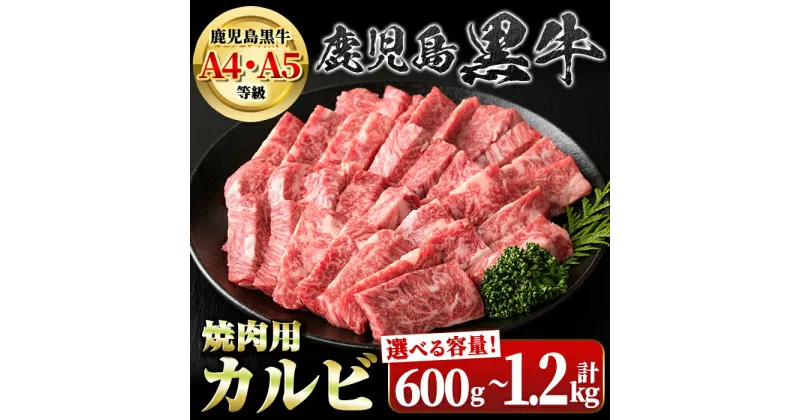 【ふるさと納税】＜容量が選べる！＞＜A4・A5等級＞鹿児島黒牛カルビ焼肉用(約600g×1P or 計1.2kg・約600g×2P) 鹿児島 国産 九州産 牛肉 カルビ 和牛日本一 牛肉専門店 A4 A5 等級 焼肉 バーベキュー BBQ ギフト 贈答 【新村畜産】