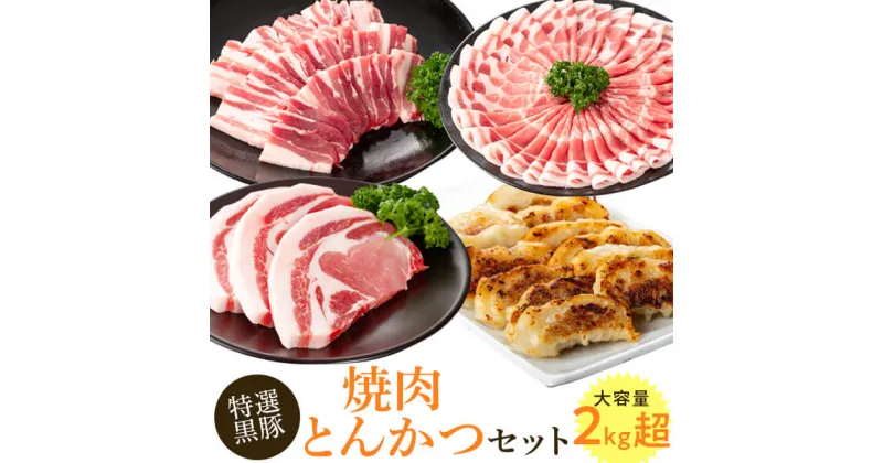 【ふるさと納税】特選黒豚焼肉とんかつセット(計約2.1kg) 黒豚バラ(焼肉用)、黒豚ロース(トンカツ用)、黒豚モモスライス、黒豚餃子のセット！ 鹿児島 国産 九州産 黒豚 豚肉 お肉 バラ ロース モモ スライス 餃子 ぎょうざ 焼肉 しゃぶしゃぶ【和田養豚】