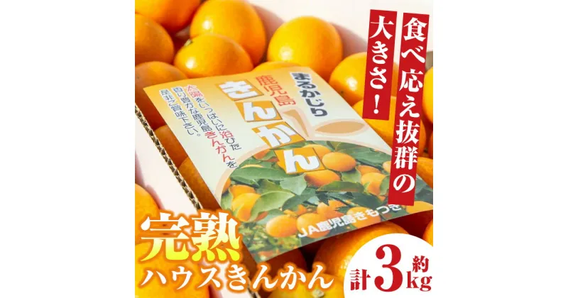 【ふるさと納税】＜先行予約受付中！2025年1～2月に収穫ができ次第順次発送予定＞肝付町産 完熟ハウスきんかん(約3kg×1ケース) 鹿児島 国産 フルーツ 果物 柑橘 金柑 きんかん 果汁 ギフト お歳暮【JA鹿児島きもつき高山支所】