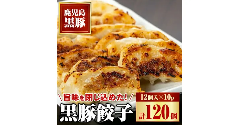 【ふるさと納税】黒豚餃子セット(12個入×10パック) 鹿児島 国産 九州産 自家農場 黒豚 黒ぶた 豚肉 冷凍 餃子 ギョーザ ぎょうざ おかず 惣菜【和田養豚】