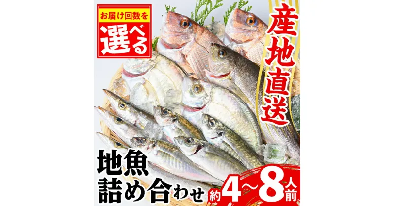 【ふるさと納税】 ＜選べる容量・配送回数！＞地魚詰め合わせセット(約4人分 or 約6～8人前) 鹿児島 国産 九州産 産直 産地直送 鮮魚 新鮮 魚 海産物 お刺身 煮つけ 焼き魚 全3回 全6回 連続月 毎月 【マルケイ水産】