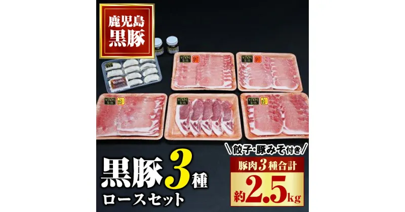 【ふるさと納税】 極上かごしま黒豚セット！(合計約2.5kg・豚肉3種・餃子・黒豚みそ) ロース 黒豚みそ 黒豚餃子 セット 鹿児島 国産 九州産 黒豚 味噌豚 しゃぶしゃぶ 生姜焼き トンカツ みそぶた 餃子 ギョーザ ぎょうざ ギフト 贈答【和田養豚】