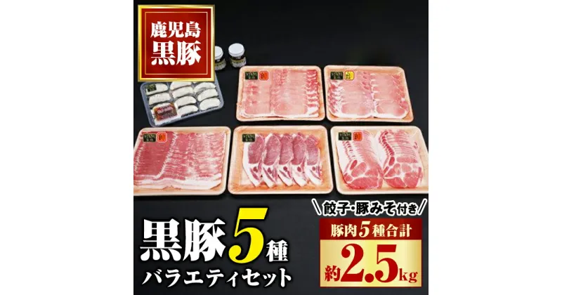 【ふるさと納税】 極上かごしま黒豚バラエティセット！黒豚バラ、黒豚肩ロース、黒豚ロース(しゃぶしゃぶ 生姜焼き トンカツ 用) 黒豚みそ 黒豚餃子 セット 鹿児島 国産 九州産 黒豚 味噌豚 みそぶた 餃子 ギョーザ ぎょうざ ギフト 贈答【和田養豚】