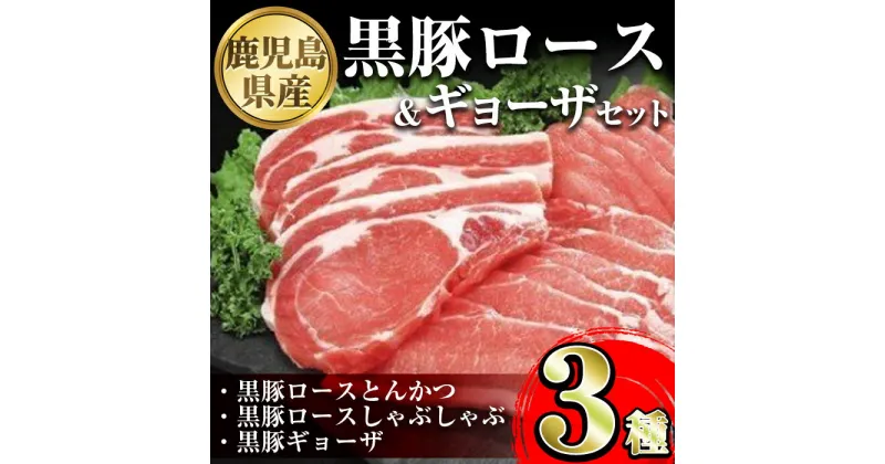 【ふるさと納税】鹿児島県産黒豚ロース＆餃子セット 鹿児島県 国産 九州産 黒豚 豚肉 ポーク ロース とんかつ しゃぶしゃぶ 餃子 ギョーザ ぎょうざ バラエティ セット 詰め合わせ 鹿児島 ギフト 贈答【あかつき産業株式会社】