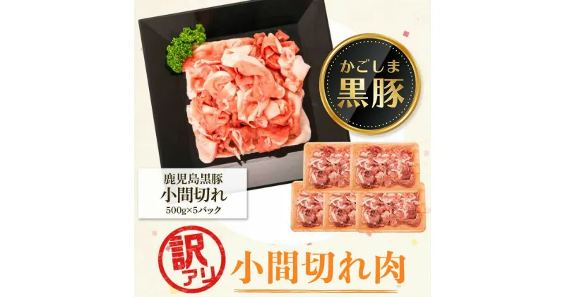 【ふるさと納税】＜訳あり＞かごしま黒豚小間切れ肉(計約2.5kg・約500g×5P) 鹿児島 国産 九州産 黒豚 豚肉 お肉 ウデ モモ スライス 切落し 切り落とし 小分け しゃぶしゃぶ とん汁 豚汁 カレー 肉じゃが 【和田養豚】